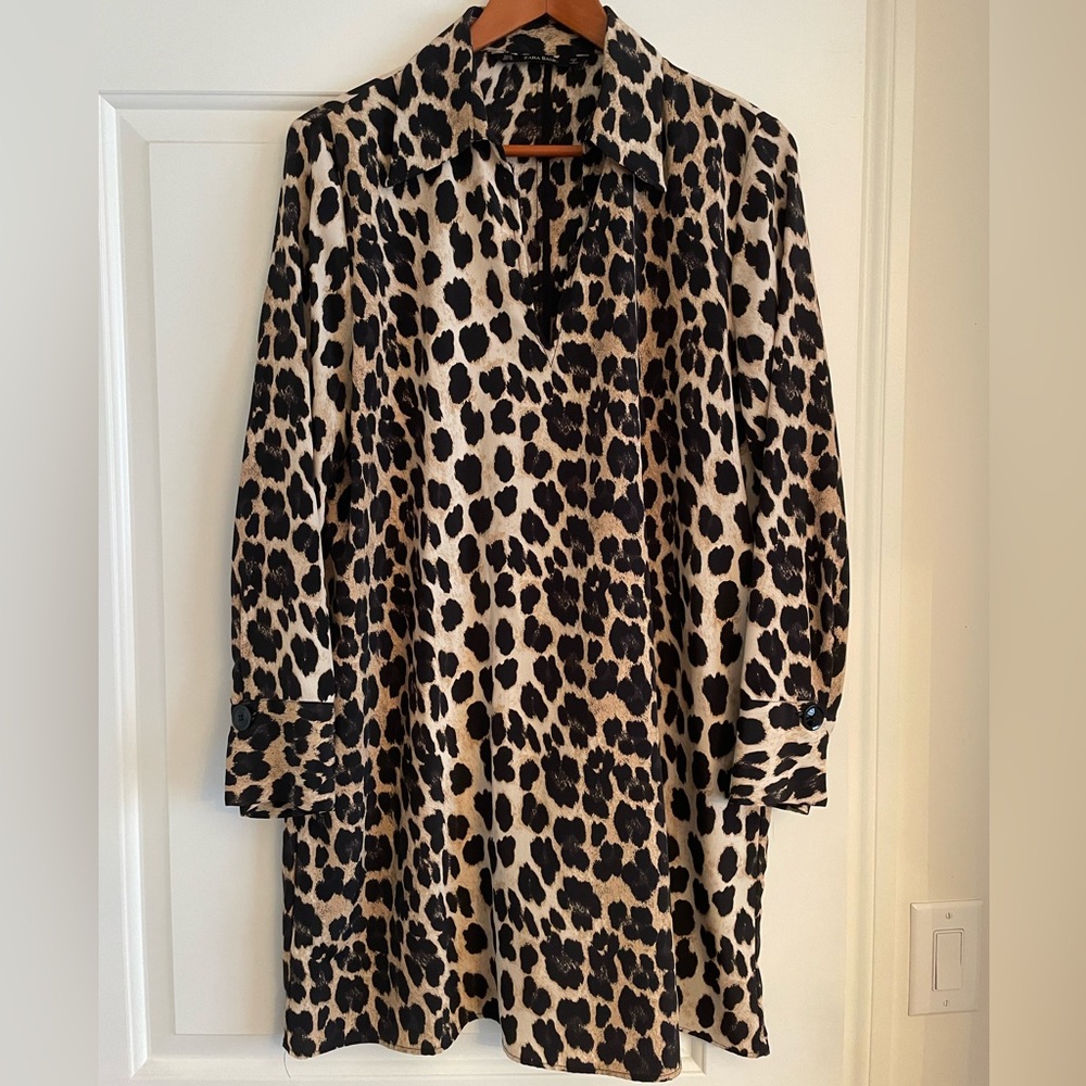 Zara Animal Print Dress